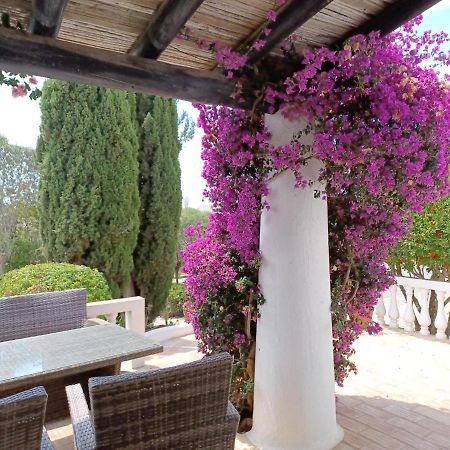 Quinta Do Paraiso - Casa Colynda Карвоейро Екстериор снимка